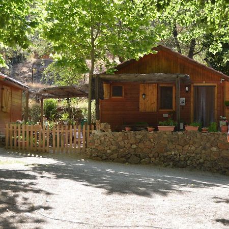Cabanas Camping Sierra De Penascosa ภายนอก รูปภาพ